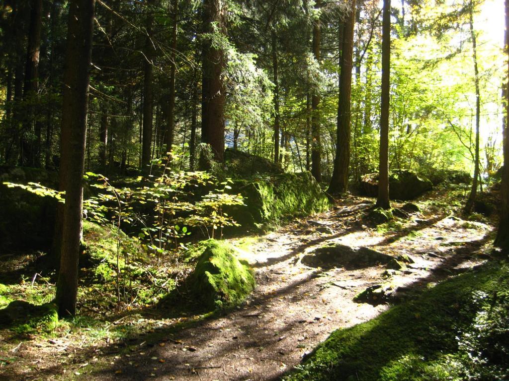 Отель Haus Tirolerland Эц Экстерьер фото