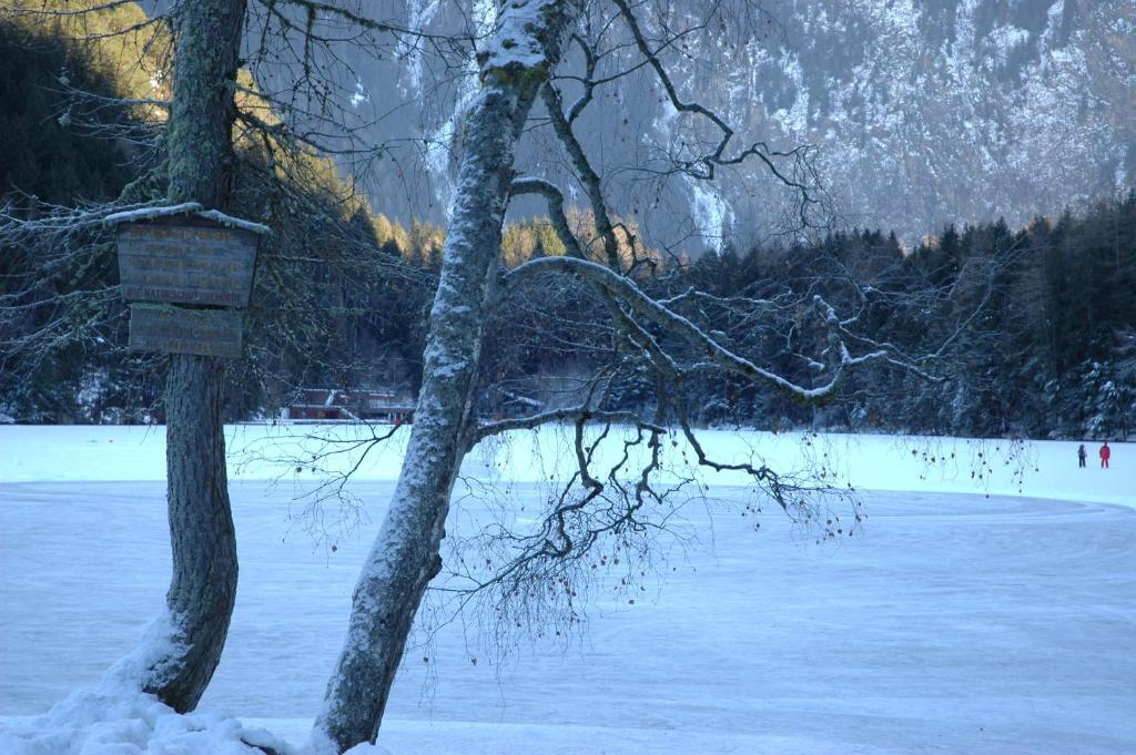Отель Haus Tirolerland Эц Номер фото